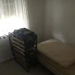 Mecseki Farkasvar